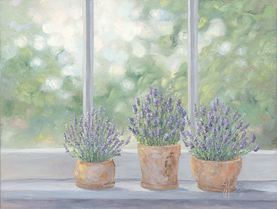 Georgia Janisse JAN243 - Lavender Pots Lavender, Herbs, Clay Pots, Window from Penny Lane