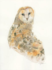 JM166 - Barn Owl - 12x16