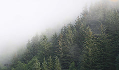 KARI128 - Alaska Green Trees II - 18x9