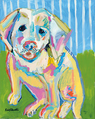 KR199 - A Labrador Puppy Smile