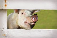 LD1224 - Pig at Fence - 18x12