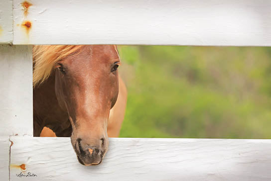 Lori Deiter LD1225 - Horse at Fence - Horse, Fence, Baby from Penny Lane Publishing