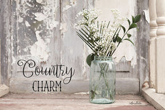 LD1266 - Country Charm - 18x12