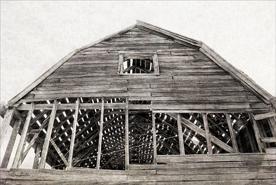 Lori Deiter LD1272 - Wyoming Barn Barn, Farm, Black & White, Rustic from Penny Lane