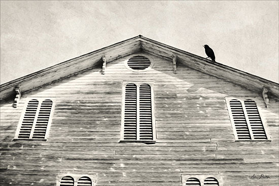 Lori Deiter LD1273 - Fort Halifax Crow Barn, Farm, Black & White, Rustic, Crow from Penny Lane