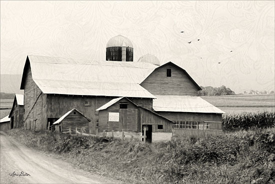 Lori Deiter LD1274 - Rural Charm Barn, Farm, Black & White, Rustic from Penny Lane