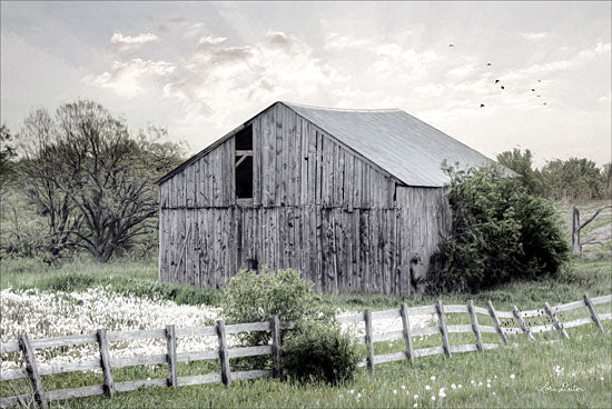 Lori Deiter LD1275 - Barnsville Barn Barn, Farm, Field, Rustic, Trees from Penny Lane