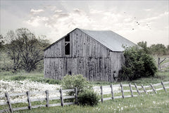 LD1275 - Barnsville Barn - 18x12