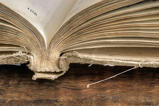 Lori Deiter LD1370 - Page 108  Book, Antique, Old, Photography from Penny Lane