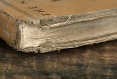 LD1371 - Well Read - 18x12