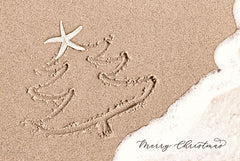 LD1449 - Beach Christmas - 18x12