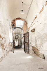 LD1454 - Eastern State Penitentiary III - 12x18
