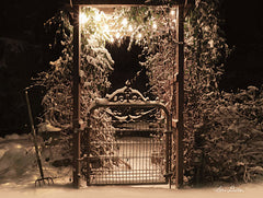 LD1684 - Snowy Garden Gate - 16x12