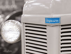 LD1691 - Massey-Ferguson II - 16x12