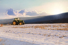 LD1694 - Waiting - 18x12