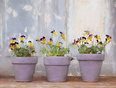 LD1801 - Pansy Still Life I - 16x12