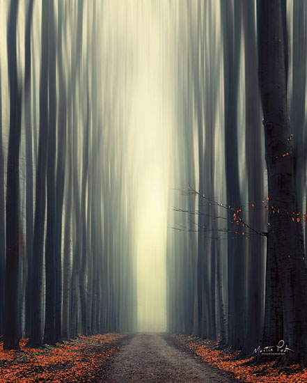 Martin Podt MPP395 - Reaching Out Trees, Forest, Sunlight, Paths, Autumn, Leaves from Penny Lane